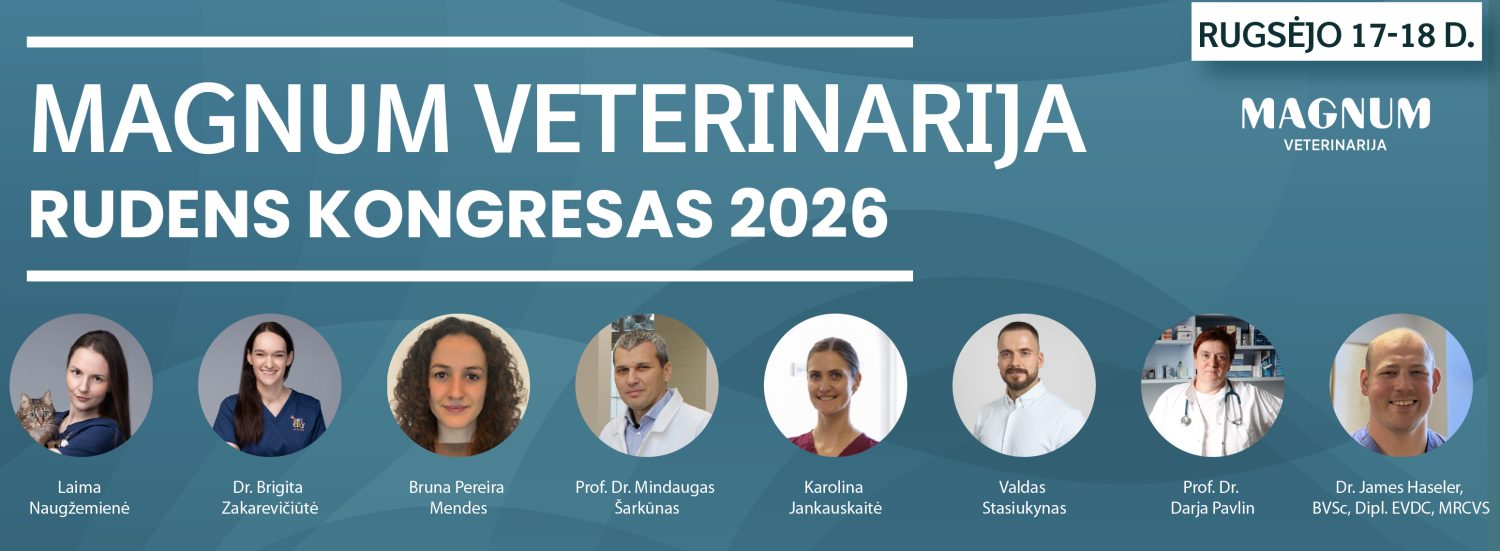 Rudens kongresas 2026